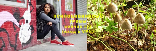 таблы Алексин