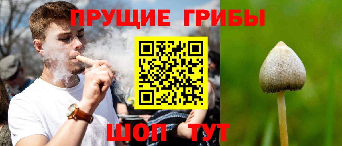 Казань  Галлюциногенные грибы прущие грибы  Вход с VPN 
